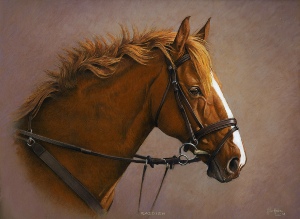 HORSE PORTRAIT GALLERY 1.