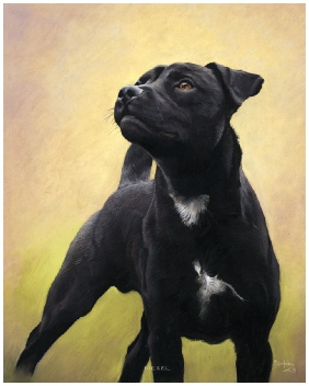 Dog Portrait of Diesel (Patterdale), by Mike Haken, commissioned by Ms. Victoria Bigge. Patterdale Pet Portrait by Mike Haken 