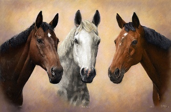 HORSE PORTRAIT GALLERY 2.